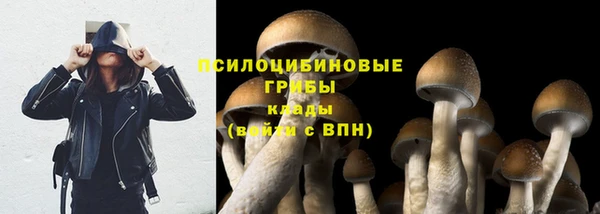 MDMA Аркадак