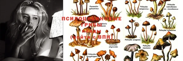 MDMA Аркадак