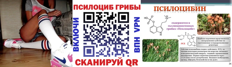Галлюциногенные грибы Cubensis Опочка